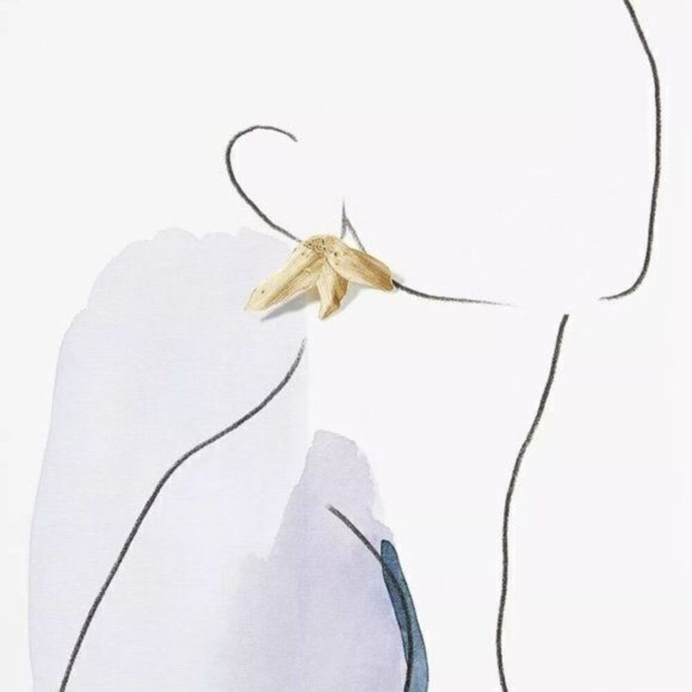 ANTHROPOLOGIE Three Petals Gold Post Earrings NWT